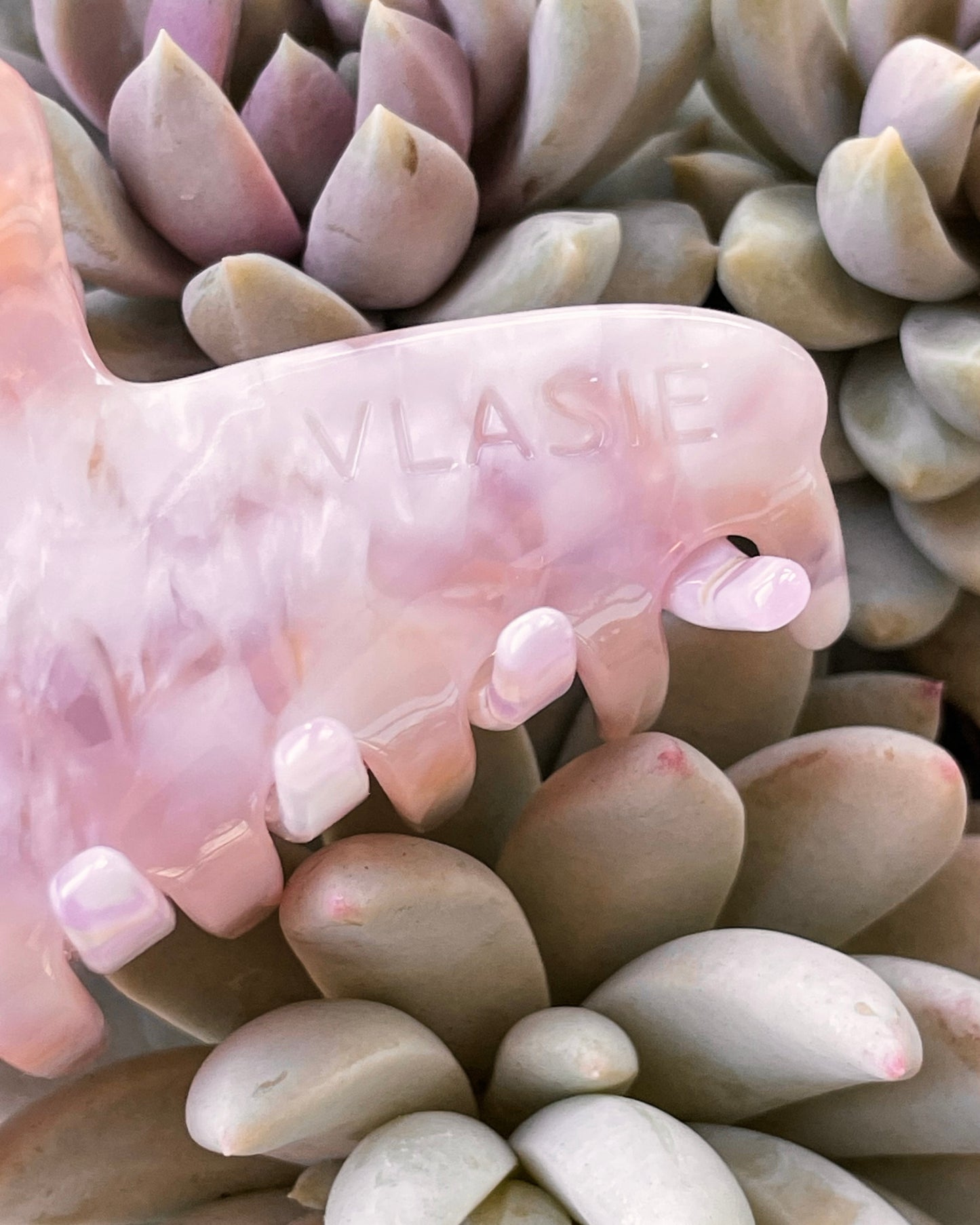 Nº2 | Desert Rose Large Claw