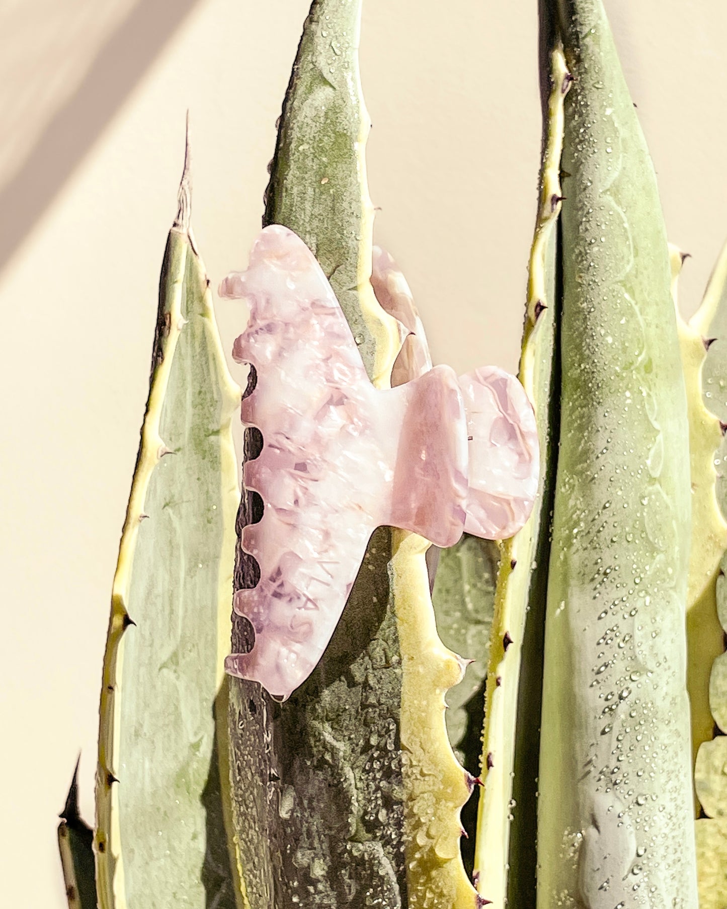 Nº2 | Desert Rose Basics+