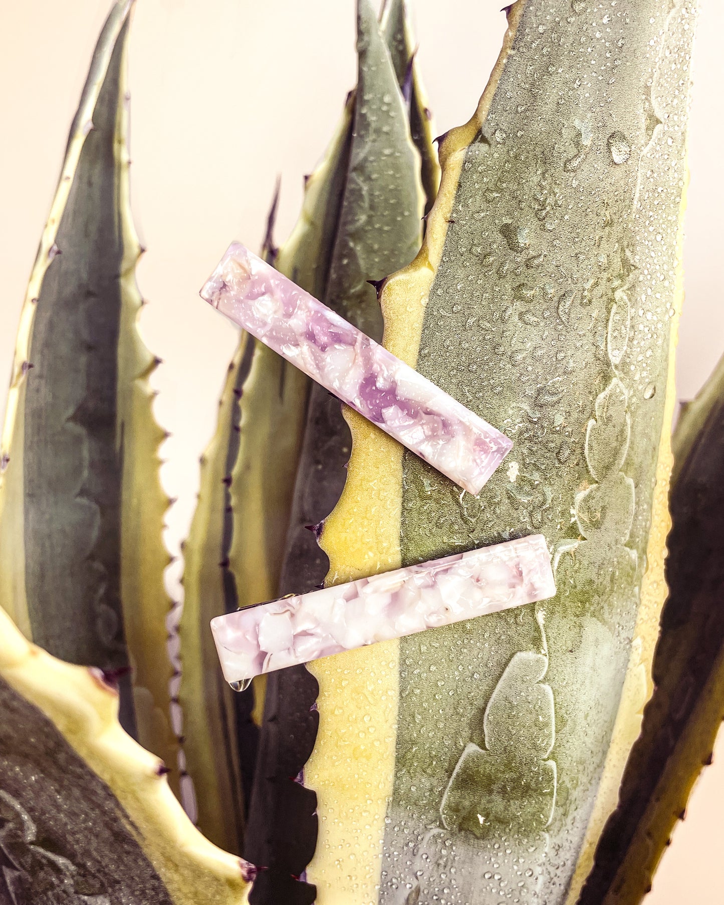 Nº2 | Desert Rose Basics