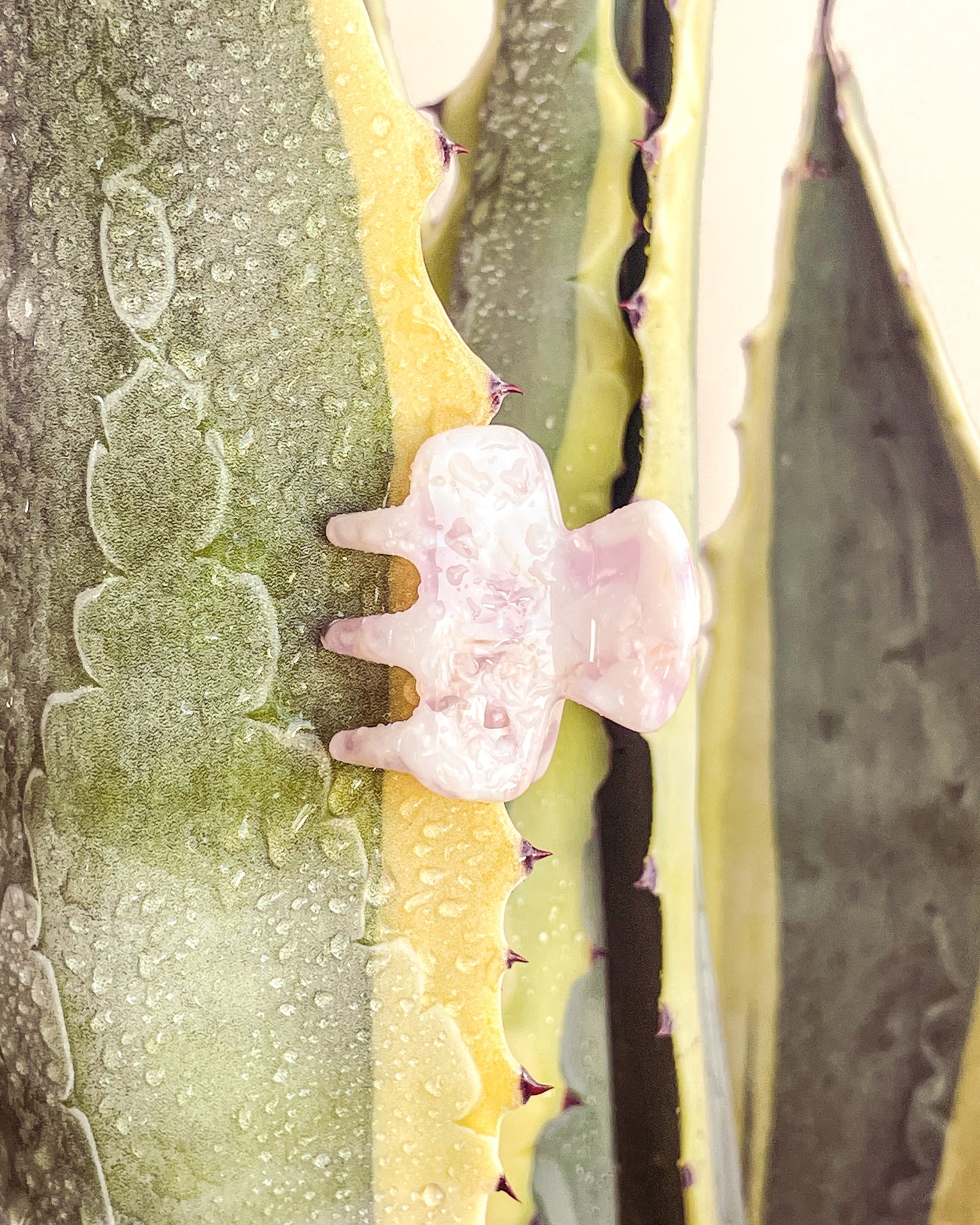 Nº2 | Desert Rose Small Claw